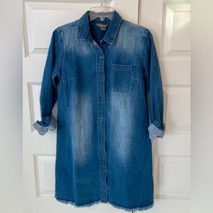 Natural Reflections denim dress